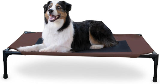 Elevated Dog Cot, Breathable Cooling Elevated Cot Hammock Pet Bed for Large Dogs, Washable Mesh Cover, Raised Metal Frame, Collapsible, Portable - Large 42 X 30In
