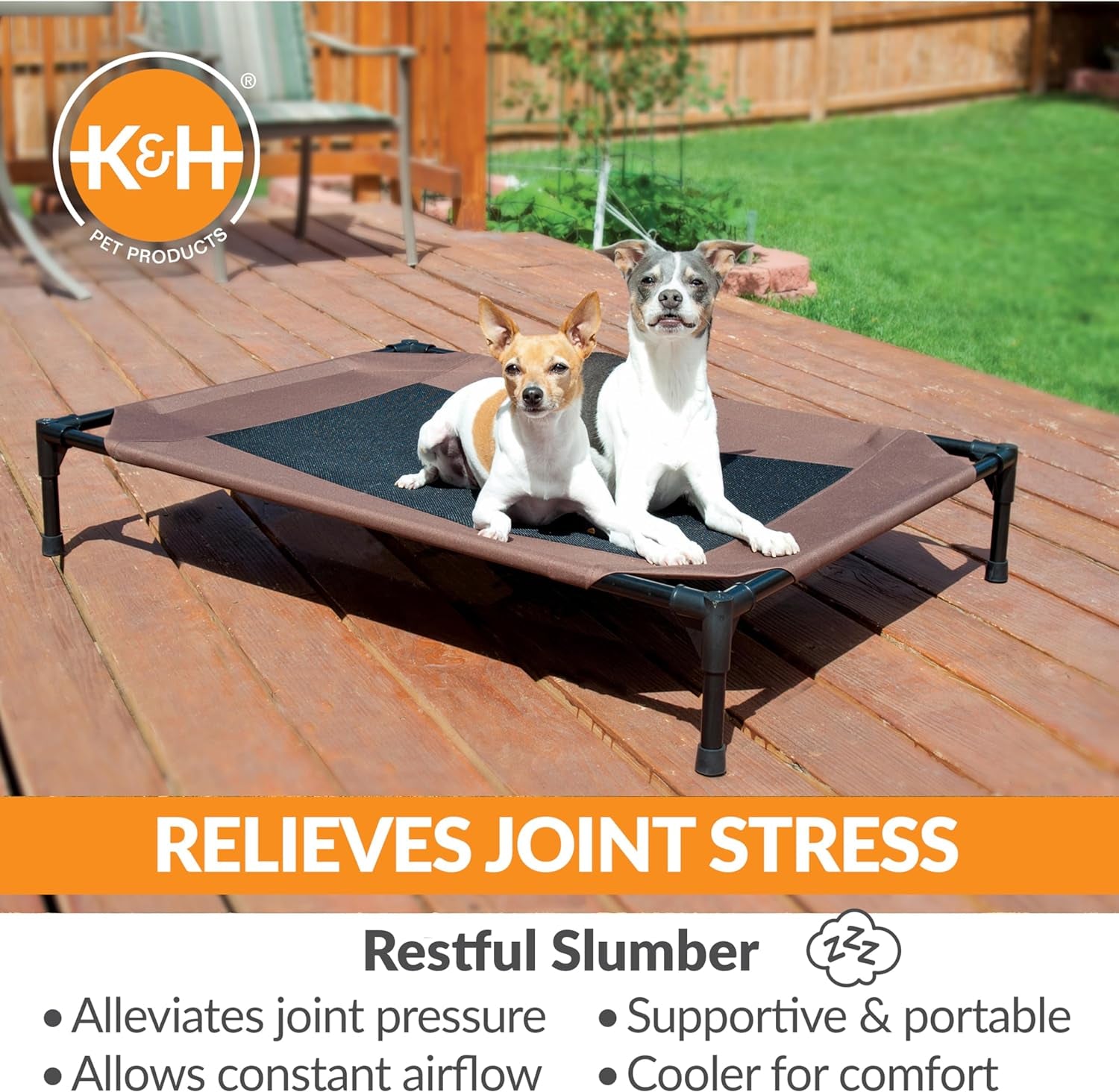 Elevated Dog Cot, Breathable Cooling Elevated Cot Hammock Pet Bed for Large Dogs, Washable Mesh Cover, Raised Metal Frame, Collapsible, Portable - Large 42 X 30In